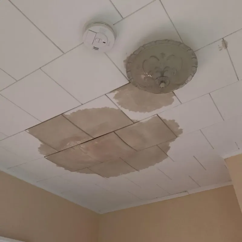 Ceiling Water Damage Repair in Pearson, GA