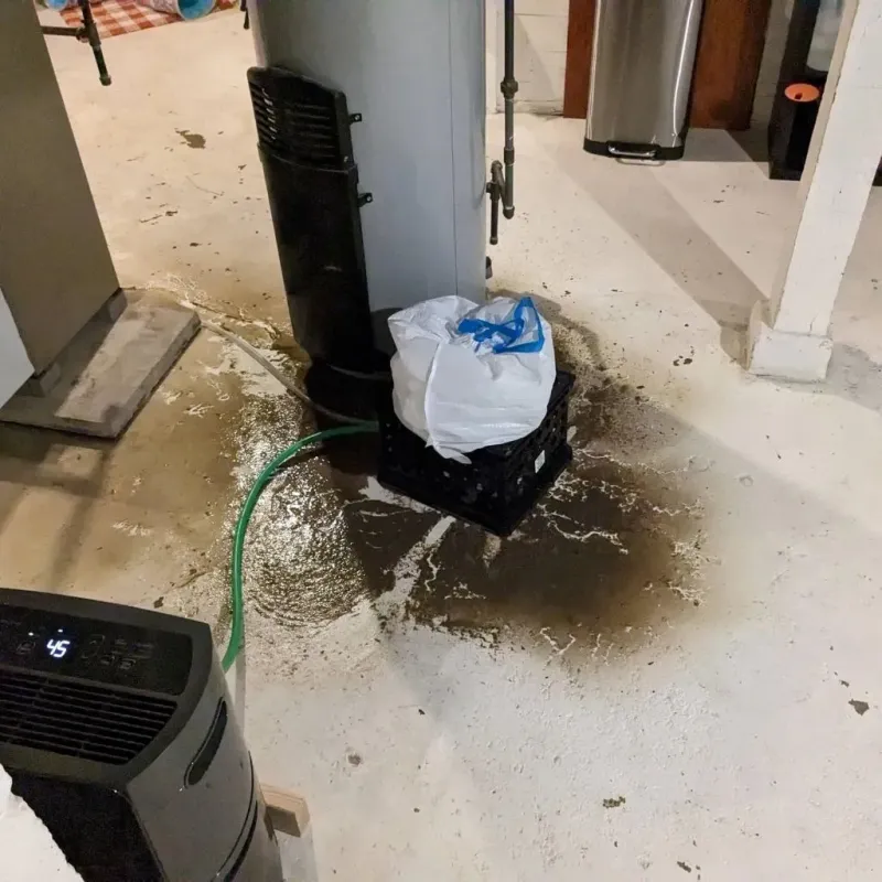 Sewage Backup Cleanup Service in Pearson, GA